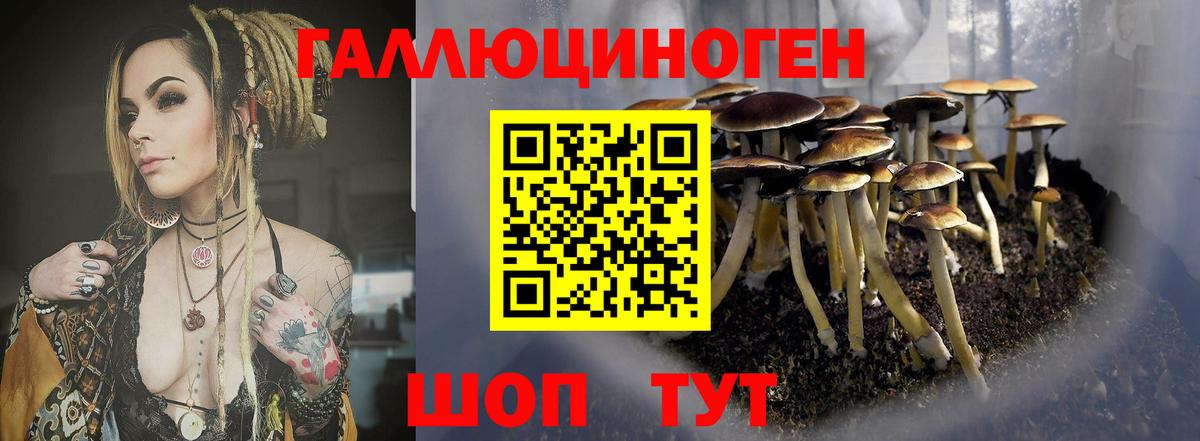 Медногорск  Галлюциногенные грибы прущие грибы  Вход с VPN 