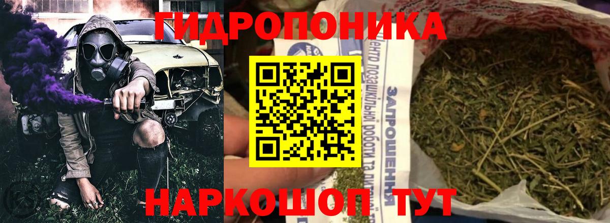 Медногорск  Марихуана гибрид  Вход с VPN  Марихуана Amnesia  Каннабис сатива  Канабис OG Kush 